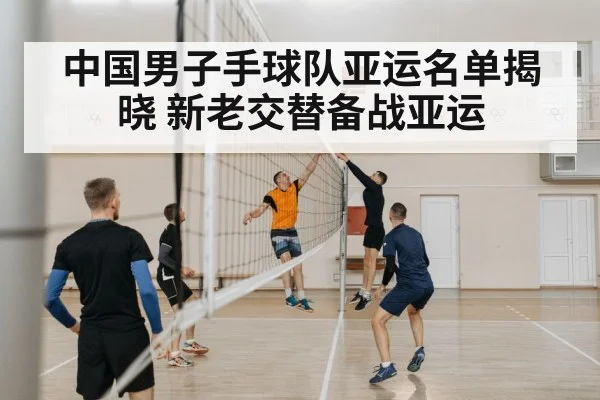 中国男子手球队亚运名单揭晓 新老交替备战亚运